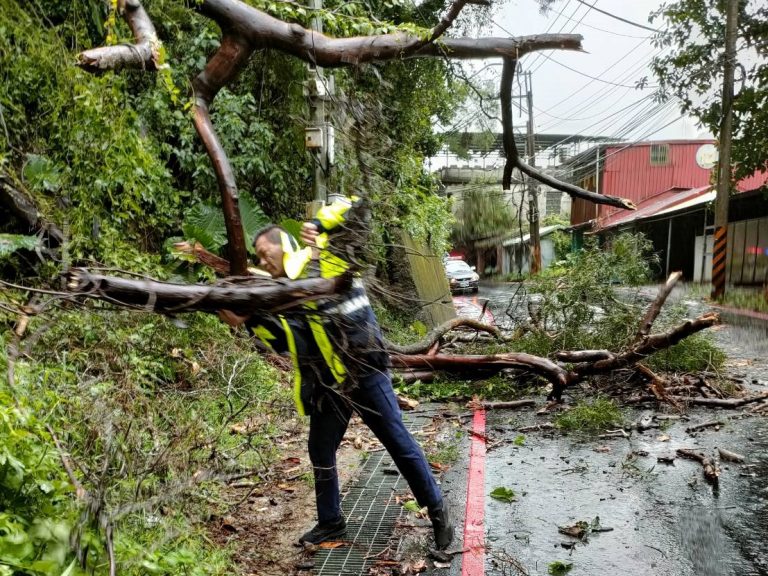 圖片說明：東北季風狹帶豪雨使邊坡樹倒，幸三峽分局插角所員警迅速聯絡公所共同排除。(記者馬治薇翻攝)