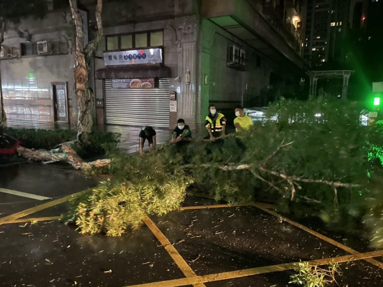 圖片說明：林口區文林派出所長陳子杰及警員徐藝軒，與附近居民合力將路樹移置路旁。(記者馬治薇翻攝)