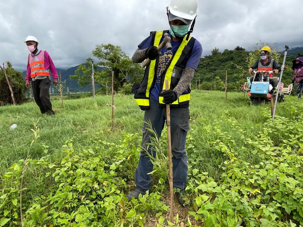 圖片說明：生利能源因應各區域地理環境，選用不同的植生方式。（圖／生利能源提供）