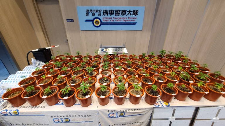 圖片說明:專案小組日前於高雄市破獲大型大麻栽種場。(記者葉鈞宇翻攝)