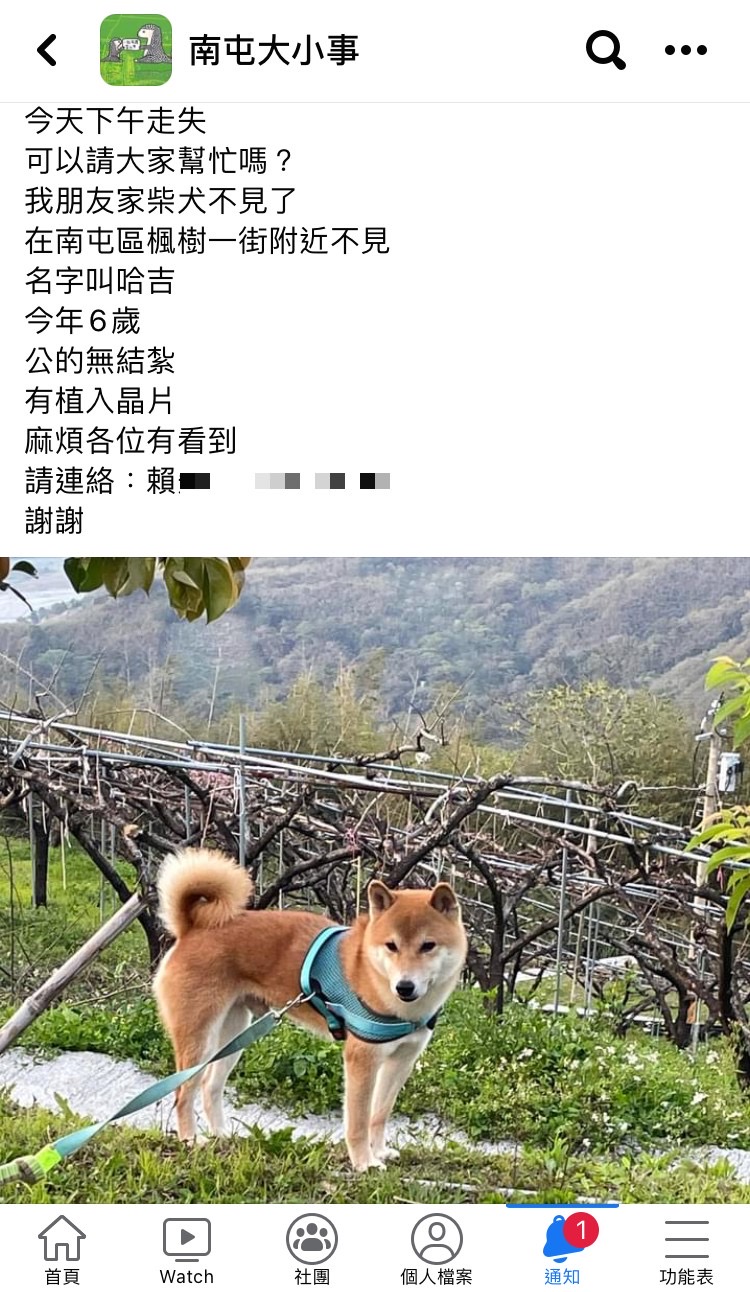 圖片說明：社書愛「南屯大小事」中見到主人協尋迷失愛犬的貼文 (記者謝榮浤翻攝)