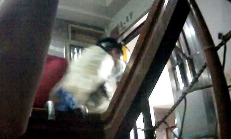 圖片說明:台中市七旬老婦反鎖屋內,中警四分局速破門營救。(記者謝榮浤翻攝)