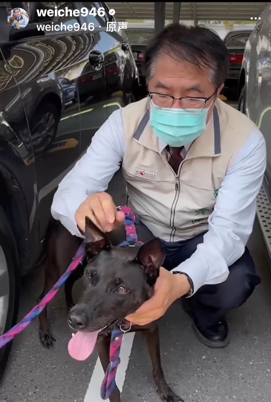 圖片說明：黃偉哲在個人IG平台上PO出與愛犬妞妞的影片。（記者趙靜姸翻攝）