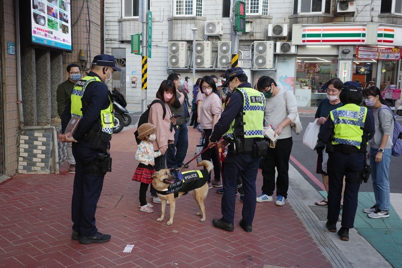 三峽警犬平安現身老街。(記者徐煜勝翻攝)