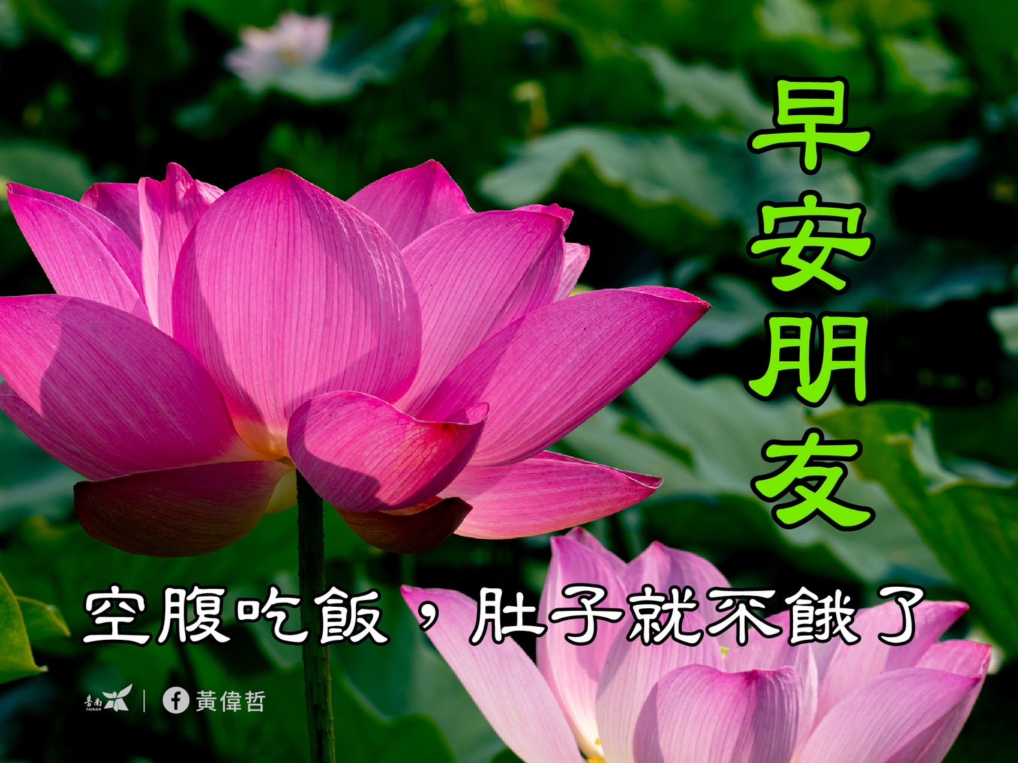 除了創意蓮花早安圖歡迎民眾取用之外,黃偉哲表示更歡迎民眾親來拍照蓮花自行製作早安圖。(圖/翻攝自黃偉哲臉書)