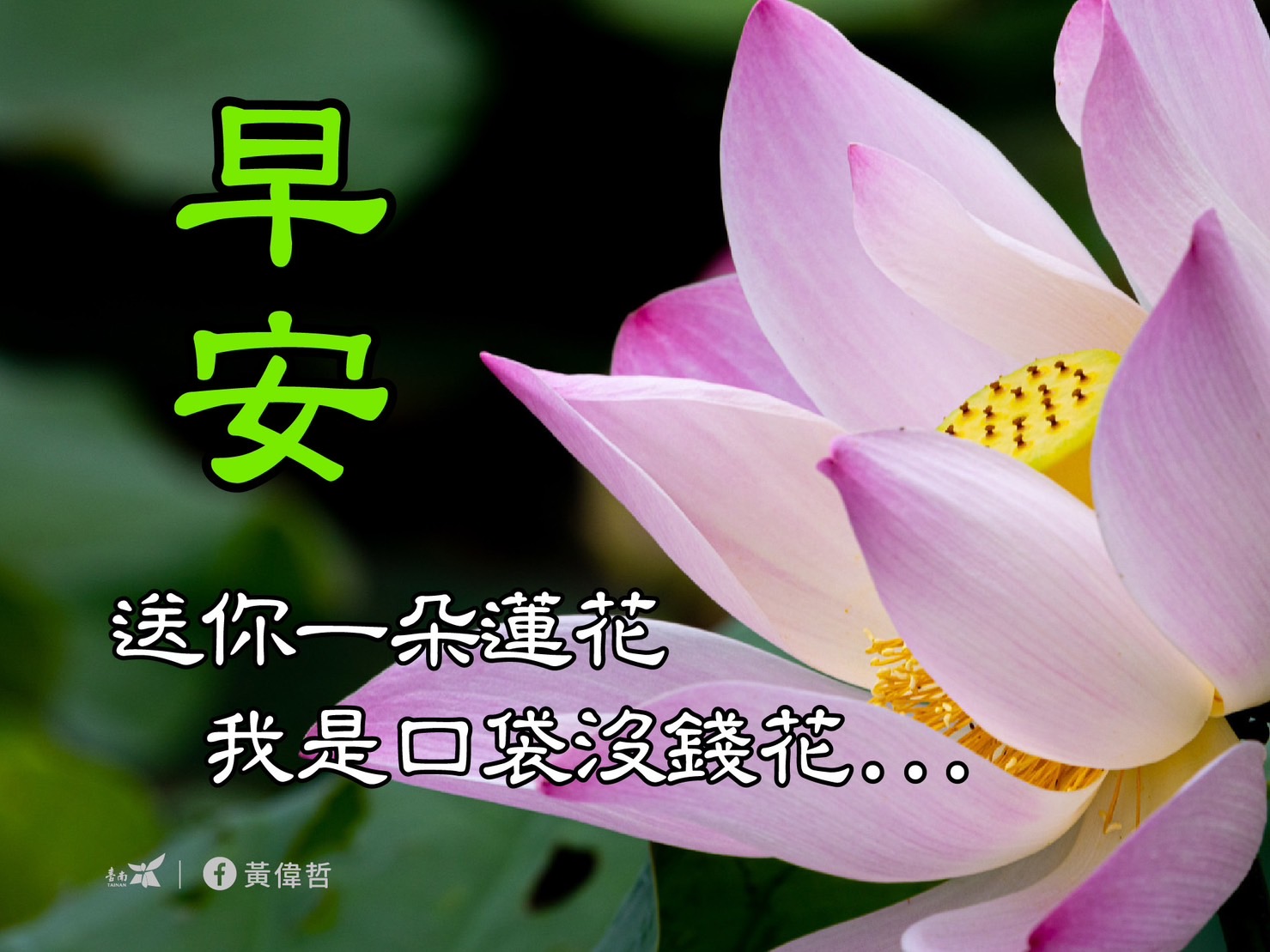 台南白河蓮花季的創意早安長輩圖,用語很廢,迅即引發網民熱議。(圖/翻攝自黃偉哲臉書)