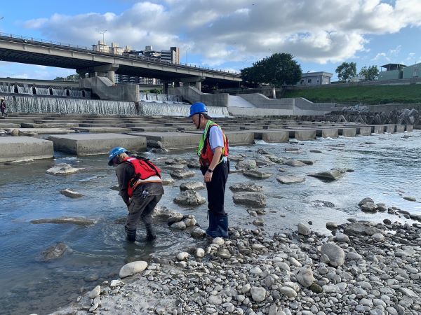 《圖說》生態團隊放置蝦籠,調查小毛蟹回家的訊息。〈水利局提供〉