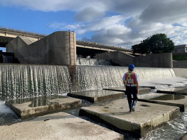 《圖說》工程團隊巡檢堰體是否有小毛蟹的群體。〈水利局提供〉