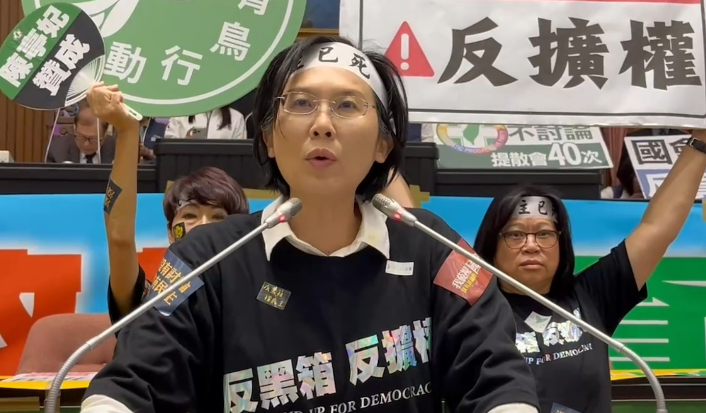 立委林岱樺感慨台灣自由民主得來不易,呼應青鳥行動高喊「護主權、撐民主」。(記者張欽翻攝)