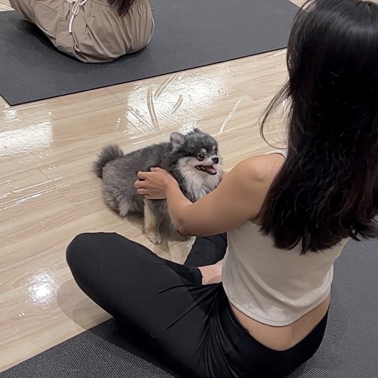 高雄市首推狗狗瑜珈！與流浪狗共享愛與療癒的時刻。(圖/ShowGYM官方提供)