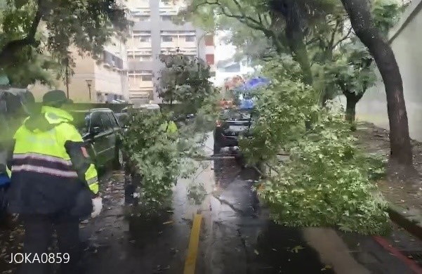 文山第二分局共處理颱風災害9件,其中6件為路樹倒塌,均已處理或轉交相關單位處理。(記者黃荷琇 翻攝)