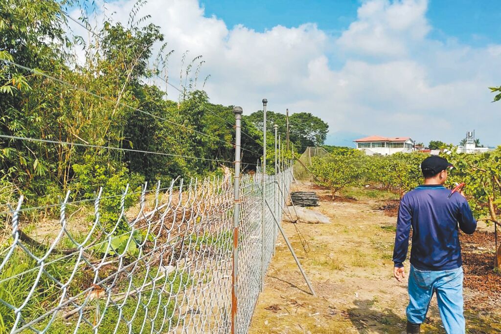 目前全台有台東縣東河鄉等6處設置電圍網示範點。(圖/黃仁國會辦公室)