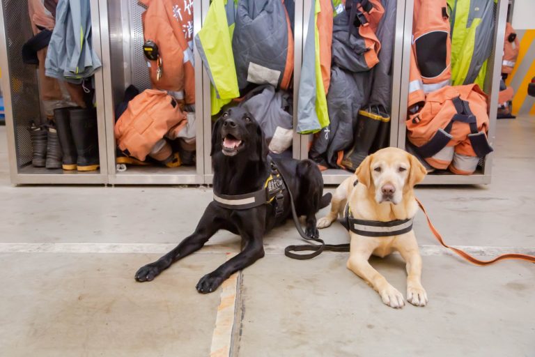 搜救英雄Clay(左)Henin(右)。（圖/記者黃溎芬翻攝）