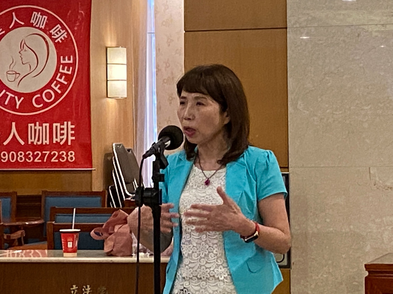 針對黨內政治獻金爭議，陳昭姿指出，應依法清查，規範本來就很清楚。(記者包克明攝)