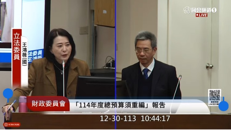 王鴻薇在財政委員會質詢行政院副秘書長李國興。(圖/王鴻薇國會辦公室)