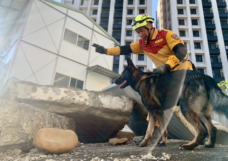 國際搜救犬組織（IRO）評審於現場與搜救犬訓練員進行交流與講評，竹市消防局搜救犬「Brook」（黑色拉布拉多）在訓練場休息等待指令，展現良好服從與穩定性。（圖/記者張家燁翻攝）