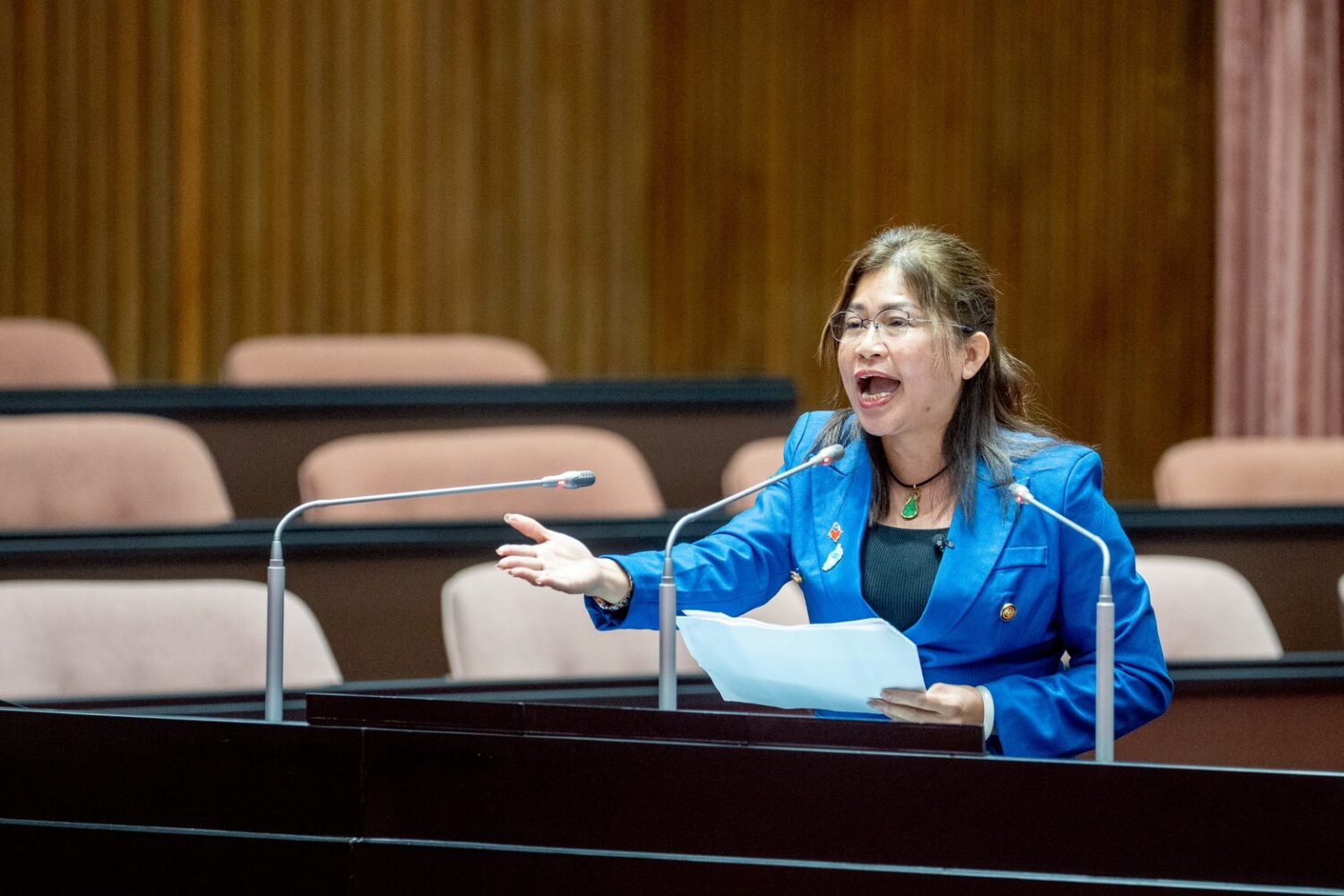 麥玉珍質詢時痛批行政院「裝傻、怠惰、欺負新住民」,更直言「這樣的行政怠惰,已是制度化的歧視!」。(圖/麥玉珍國會辦公室)