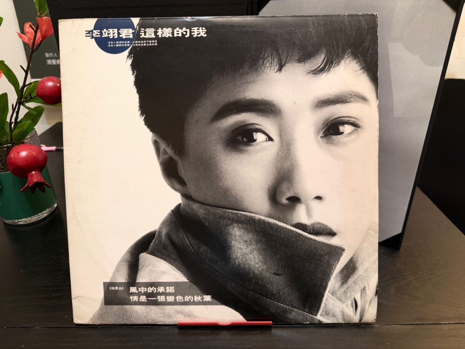 潘重威和林貴敏合作緣起於李翊君1990的大賣專輯《這樣的我》。(圖/創意大群組 提供)