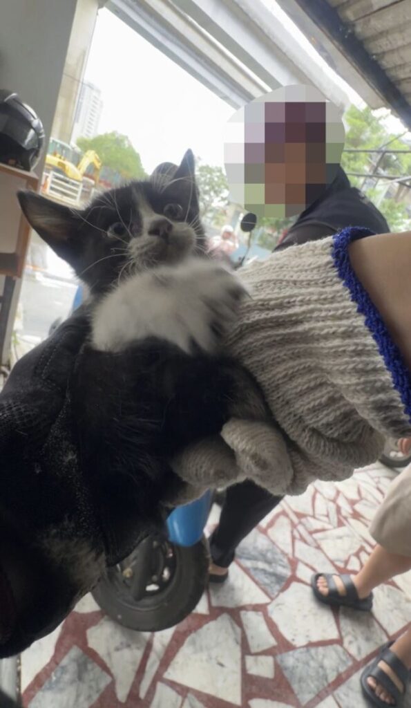 警察同仁抱著獲救小貓(圖/記者戴昱弘 翻攝)