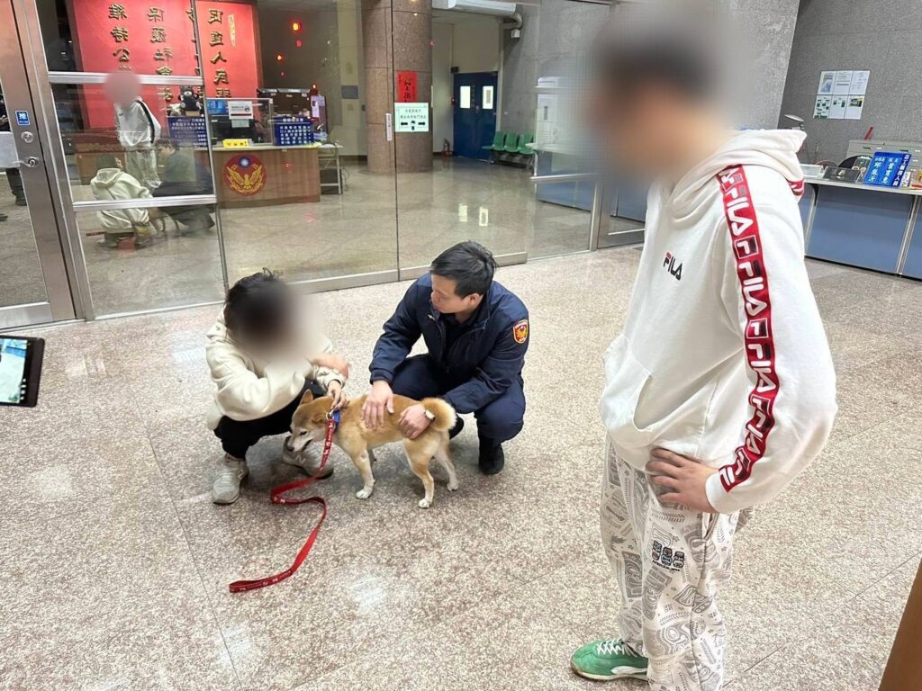 日前八德派出所員警黃勇睿發現一柴犬在分局外遊蕩,從項圈判斷並非流浪犬,決定將牠帶回派出所並自掏腰包買罐頭安撫,最後也成功等來飼主。(記者翻攝)