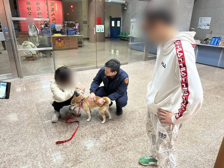 日前八德派出所員警黃勇睿發現一柴犬在分局外遊蕩，從項圈判斷並非流浪犬，決定將牠帶回派出所並自掏腰包買罐頭安撫，最後也成功等來飼主。（記者翻攝）