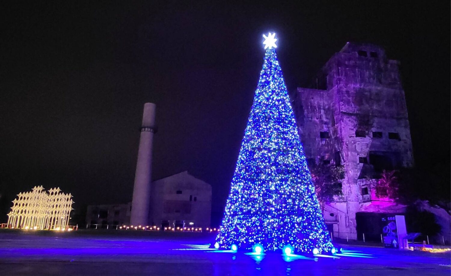 （有影片） 光影盛宴！2025映像節中興文創園區亮麗登場