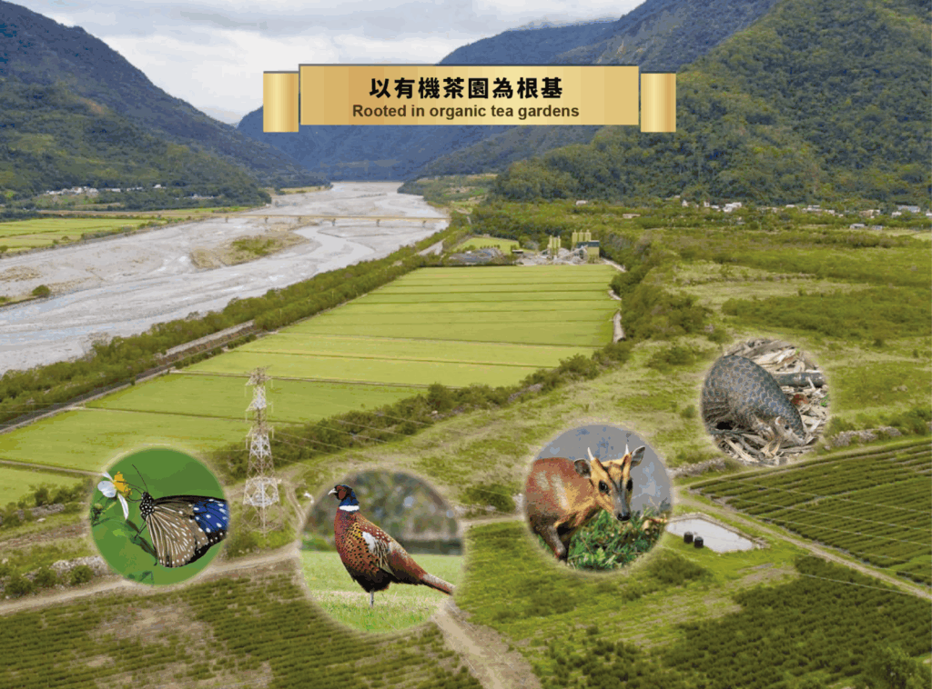 (圖／路易十四莊園提供）