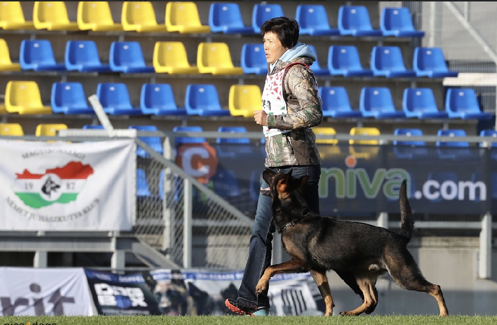 (圖/西北訓犬學苑提供)