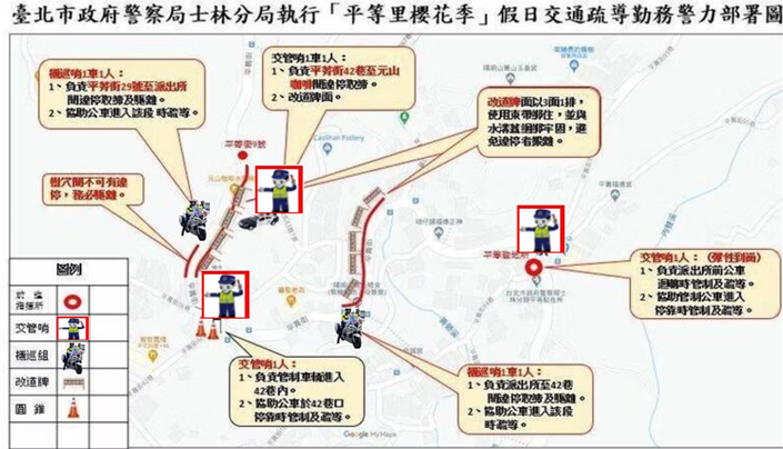 平菁街櫻花盛開迎春,士林分局規劃賞花動線。(圖/記者薛秀蓮 翻攝)