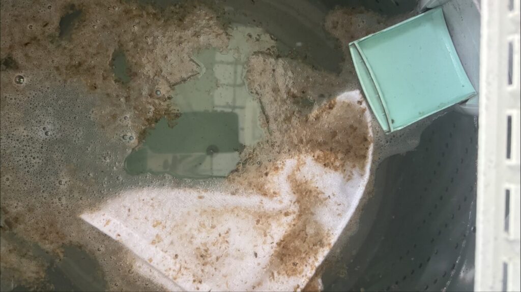 清洗的過程中，常能看見許多髒污。這些不易察覺的累積，也提醒我們除了表面清潔，家中設備的內部清潔同樣值得留意。（圖／豪斯克寧提供）