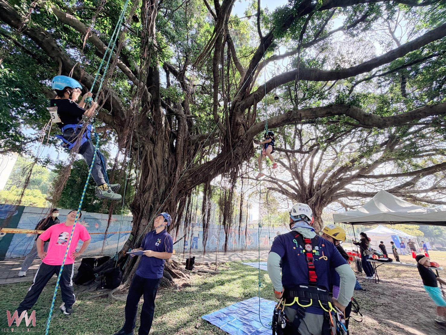 全台首創　挑戰自信建立教育理念 張秀菊基金會辦國小攀樹體驗賽