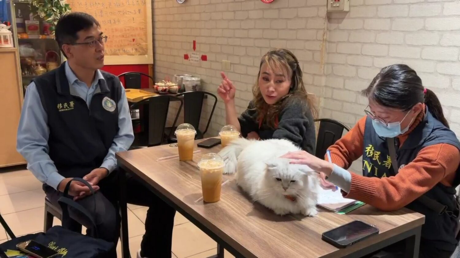 （有影片）／佩英的創業路：12年天然泰味與貓咪餐廳