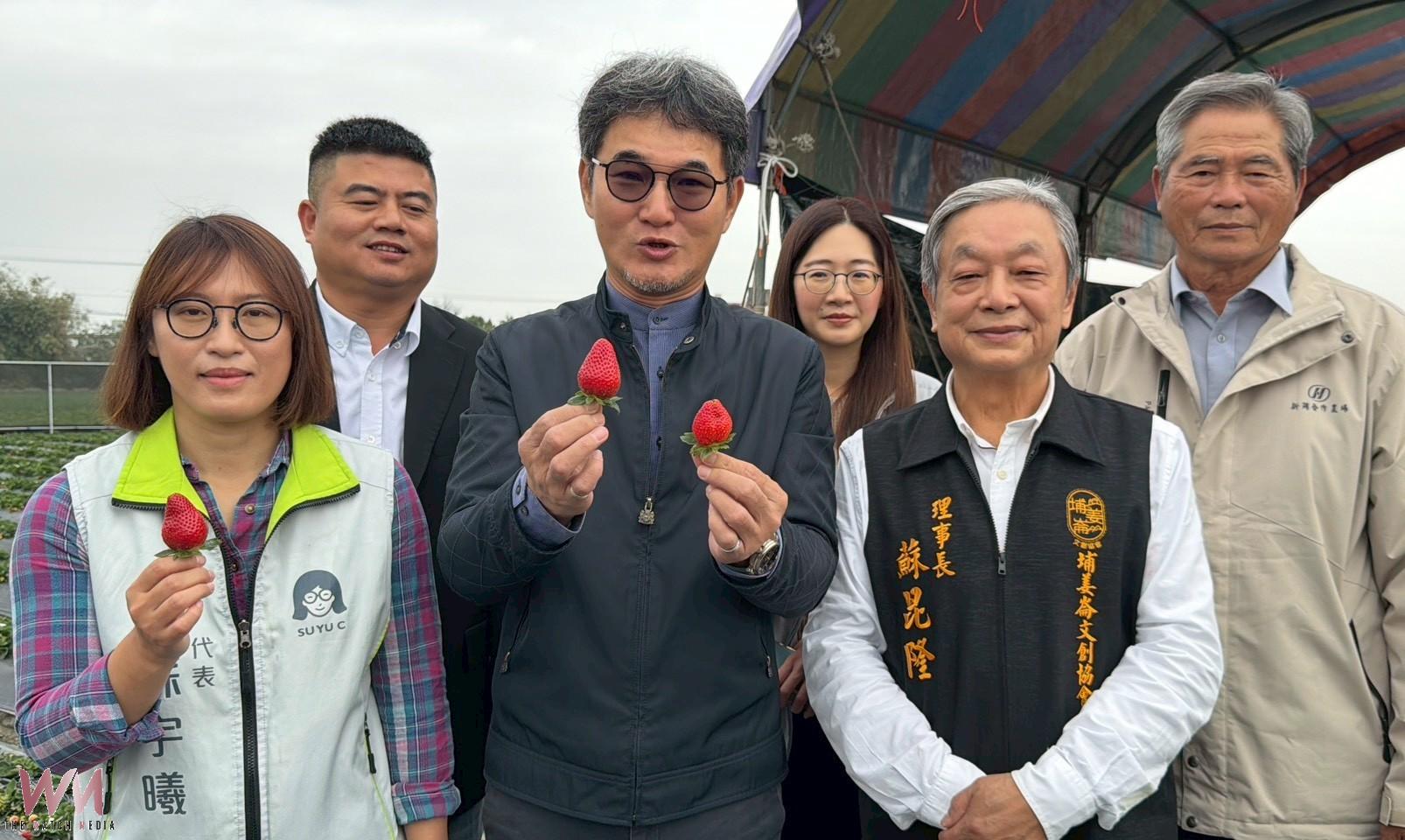 （有影片）／循環農業魚菜共生再升級　褒忠深水系統草莓成果亮相