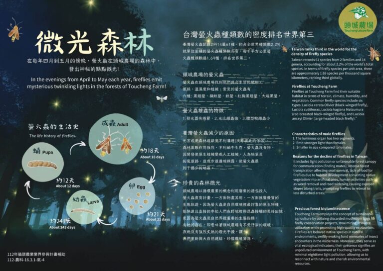頭城休閒農場賞螢季登場，走進森林感受滿天飛舞的微光奇景。（圖／記者 張泓笙翻攝）