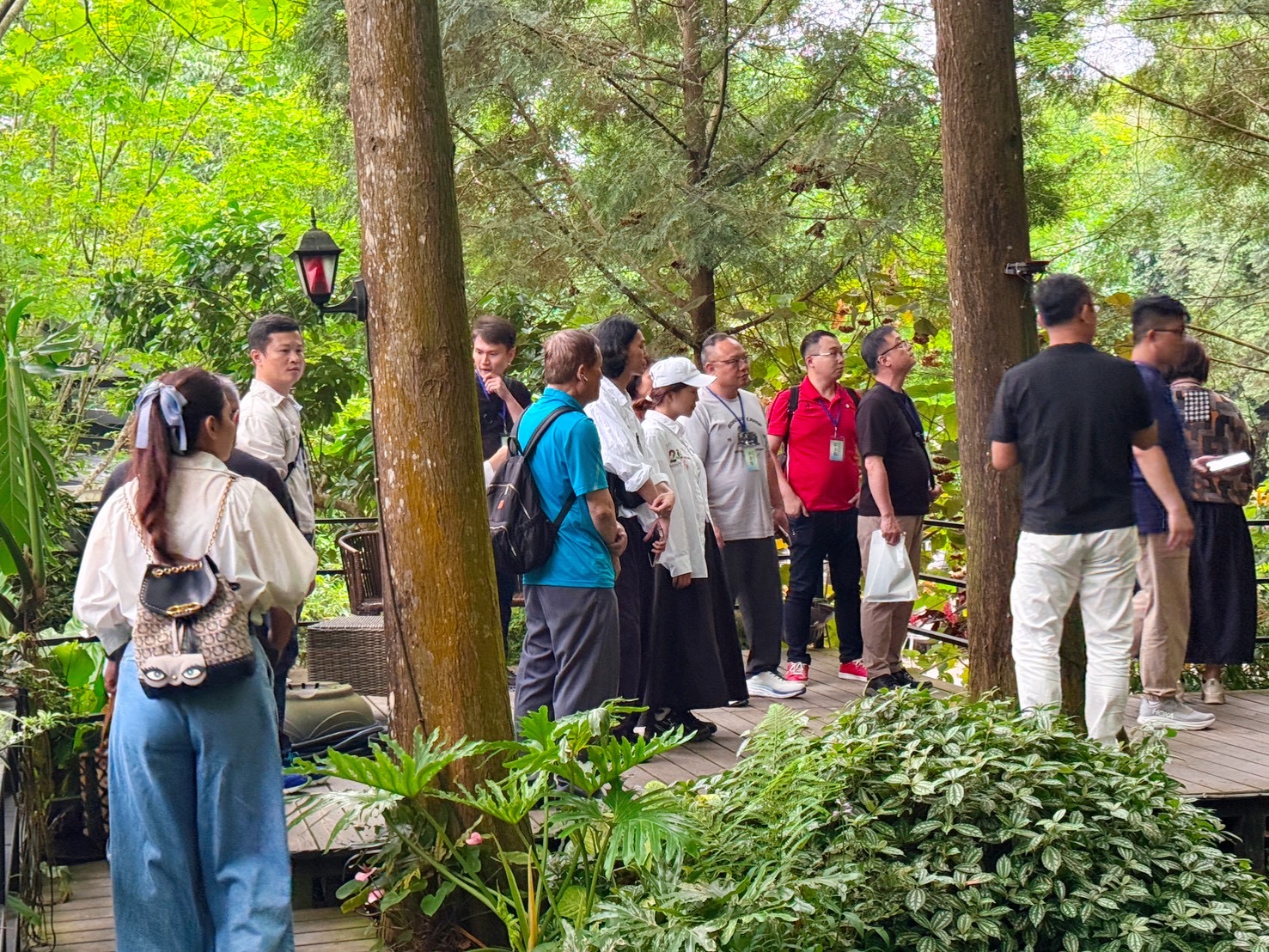 園區導覽，了解藍染原料與生態環境。（圖/新創總會提供）