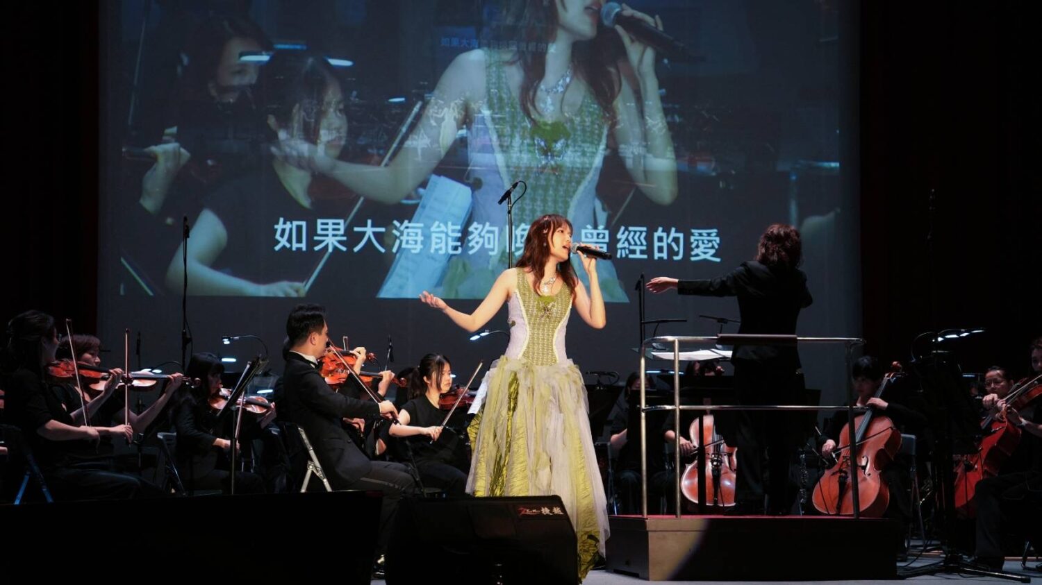 擁有細膩嗓音與爆發力的文慧如，重新詮釋多首華語經典歌曲。（圖／麗富康提供）