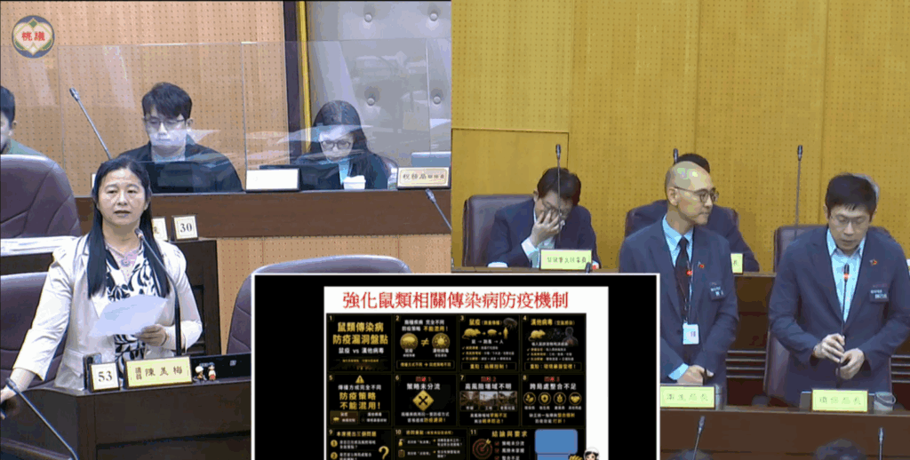 桃園市議員陳美梅（左）今（6）日桃園市議會總質詢中，針對近期爆發的鼠患，詢問桃園市政府是否有相關措施。（記者翻攝）