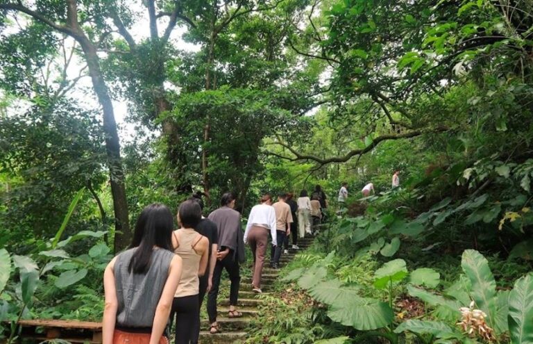 身心平衡體驗設計越來越受現代人重視,涵蓋森林療癒、藝術創作、正念練習、精油調香、聲音療癒等不同主題。(圖/業者 提供)