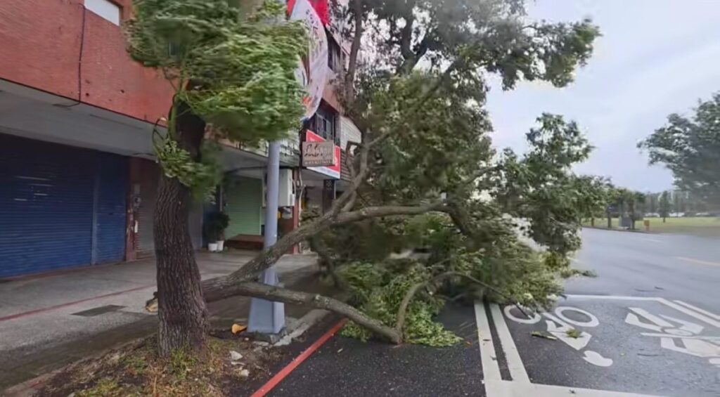 薔琵颱風強風侵襲花蓮，陸續傳出路樹倒塌、交通標誌傾倒及沿海巨浪侵襲等災情。（圖／記者 趙靜姸翻攝）